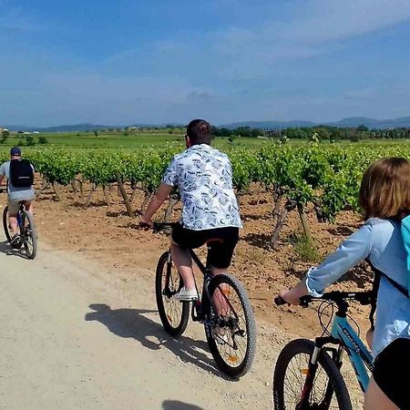 Tina De Vila, En La Capital Del Vino Apartment Vilafranca del Penedes Bagian luar foto