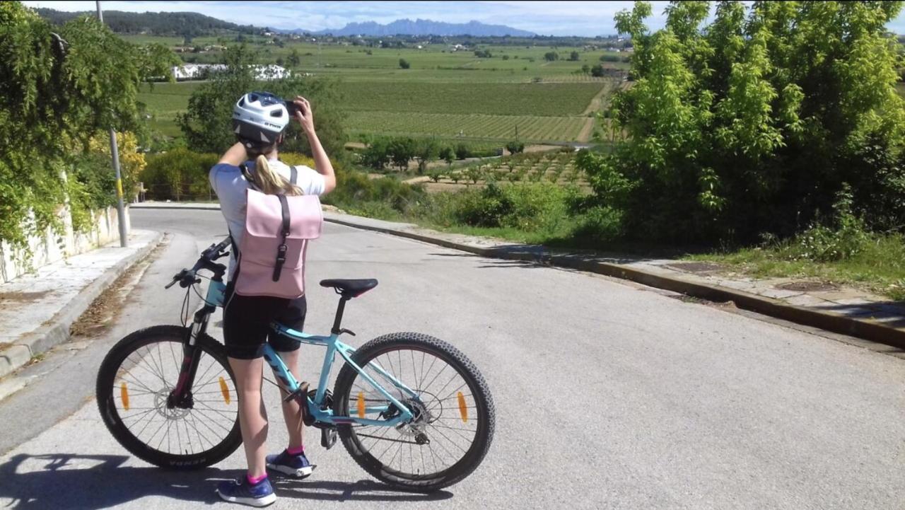Tina De Vila, En La Capital Del Vino Vilafranca del Penedes Bagian luar foto